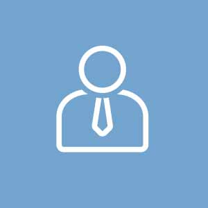 Icon Professional Services Cloud